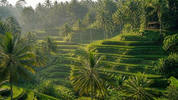 Bali Temples & Beaches – Bali, Indonesia